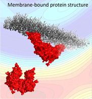 membrane-bound protein structure membrane-bound protein structure